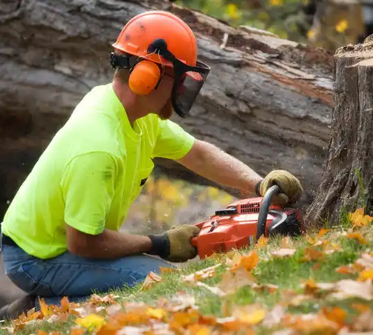 tree services SUNY Oswego